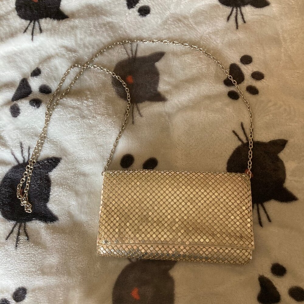 Metal Mesh Evening Bag Clutch (with chain)